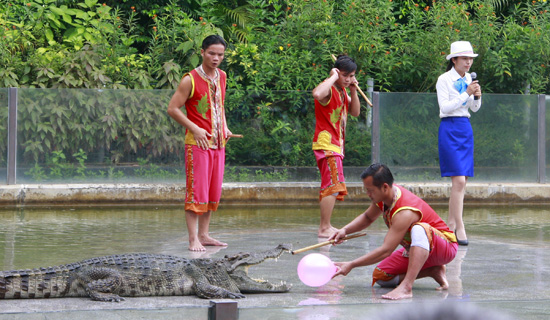 往鳄鱼嘴巴里放气球
