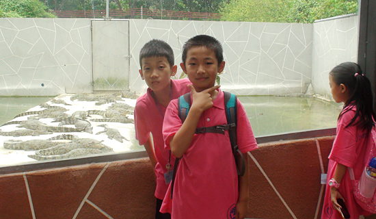 摆个pose和小鳄鱼合影